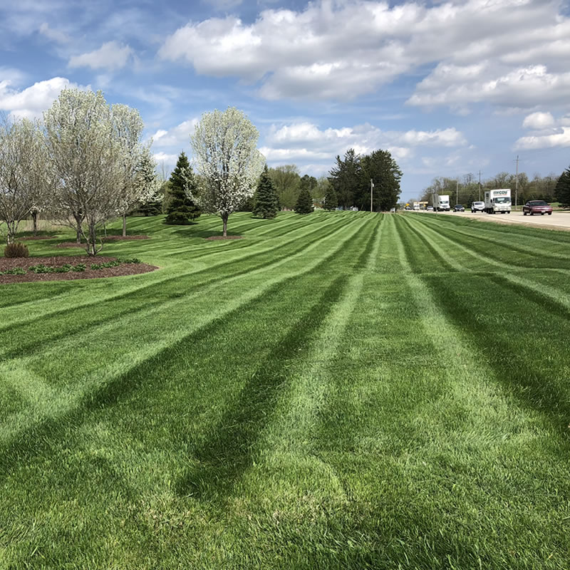 Freshly maintained green lawn and trees